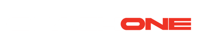 CoachOne Method